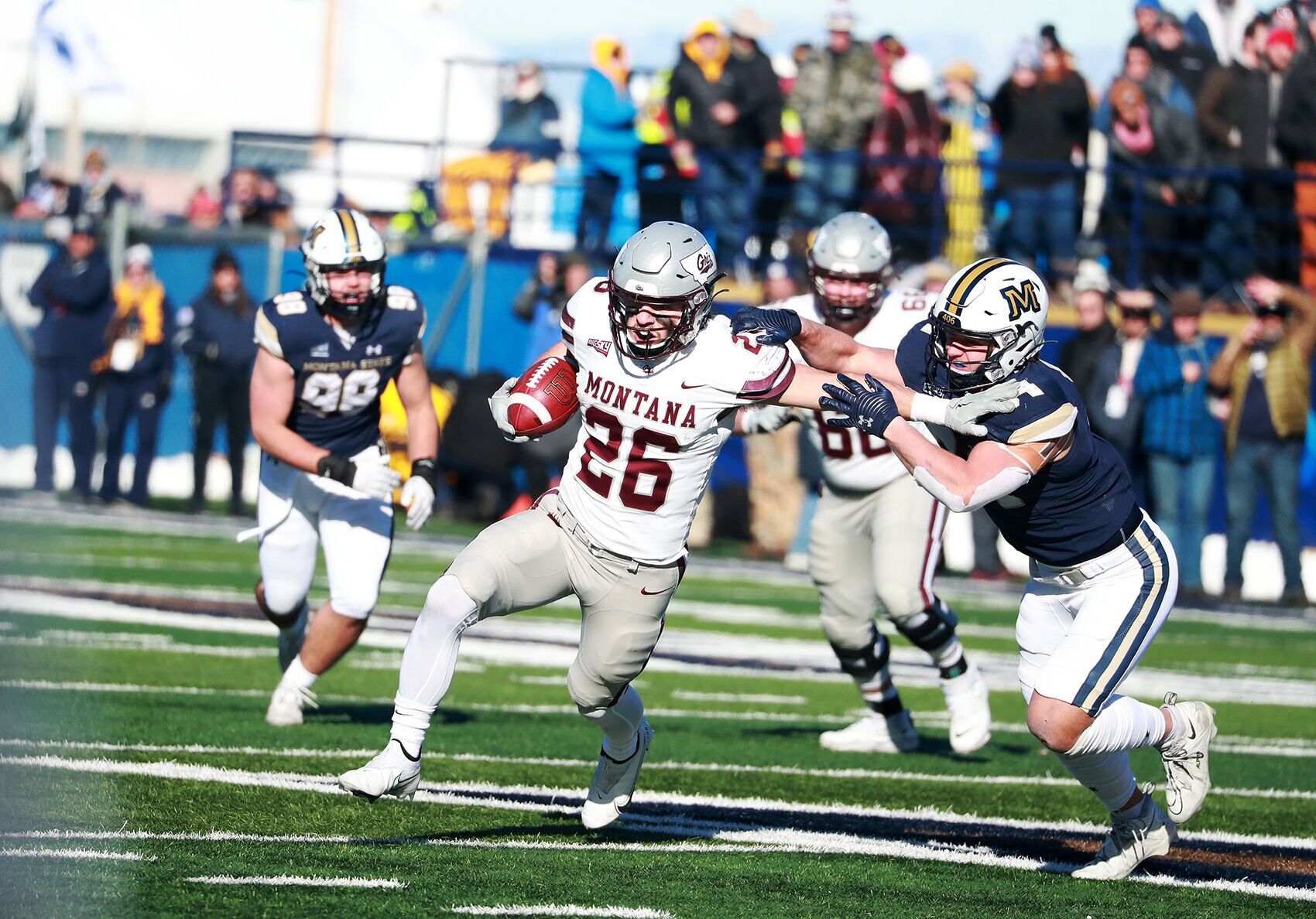Cat Griz 2022